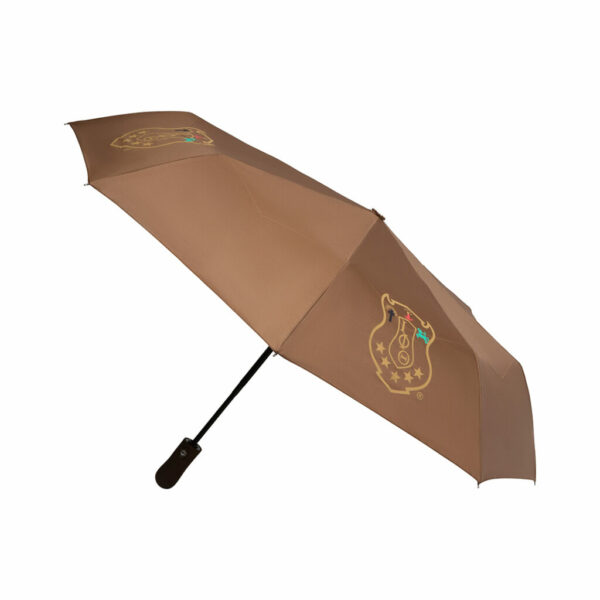 Mini Hurricane Umbrella - Iota Phi Theta, Brown